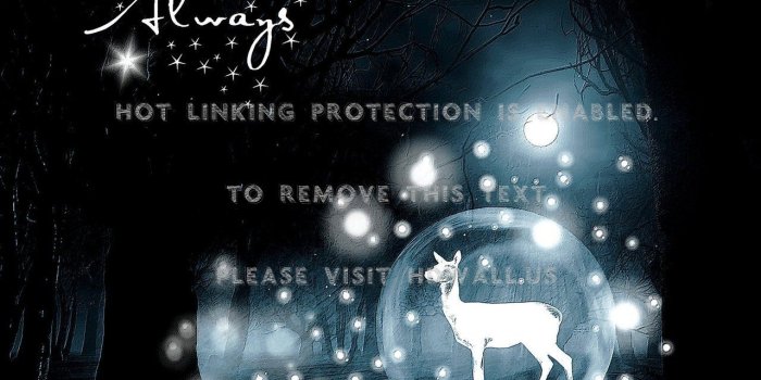 1280x960 deer harry potter severus snape fan art patronus