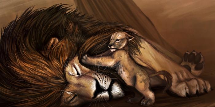 2642x1654 85 The Lion King HD Wallpapers | Background Images