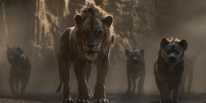 4096x2160 The Lion King 2019 Scar, HD Movies, 4k Wallpapers, Images