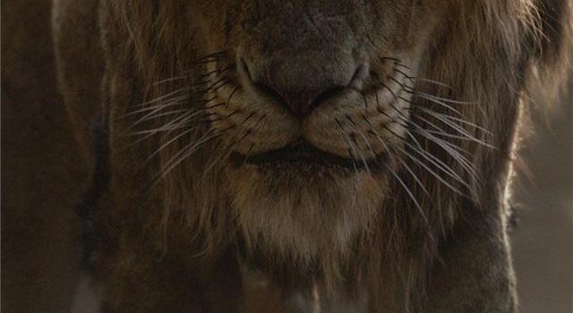 640x1385 the lion king 2019 scar iPhone X Wallpapers Free Download