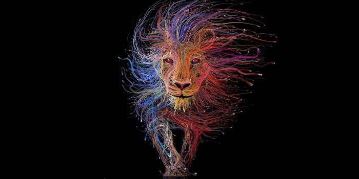 3840x2160 Lion King Wallpaper (28+ images) on Genchi.info