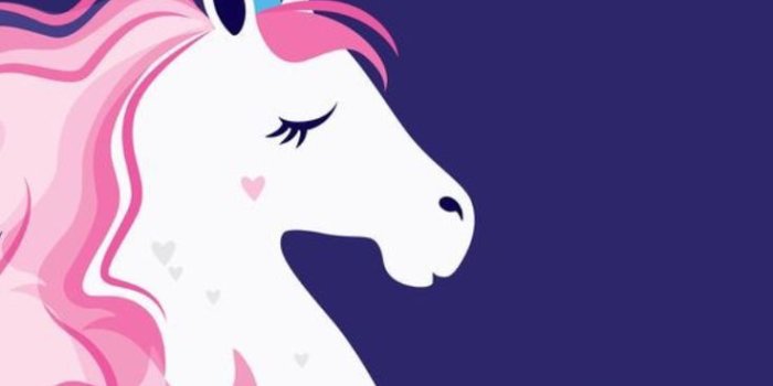 736x1309 41461270 First gentle snow : Photo | Unicorn Love in 2019 | Unicorn