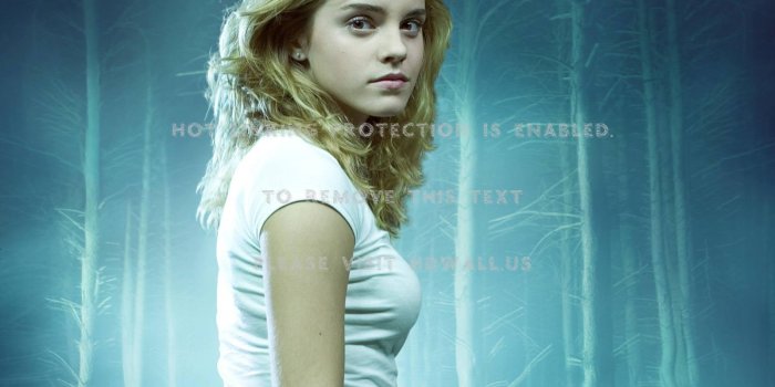 1600x1200 emma watson harry potter hermione granger