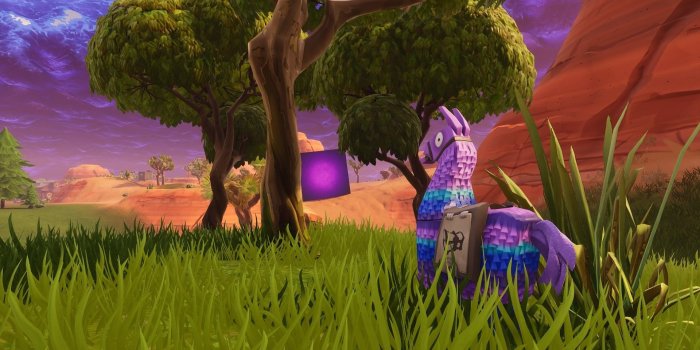 1920x1080 Fortnite Lama Wallpapers - Top Free Fortnite Lama Backgrounds