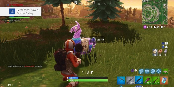 1920x1080 Fortnite Llama Computer Background - Joogie Fortnite, Hd Wallpapers