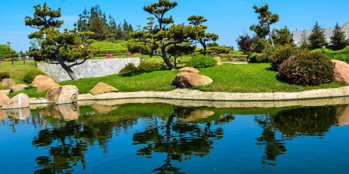 2048x1470 griffith, Observatory, Oscars, Venice beach, Newport beach, Venice