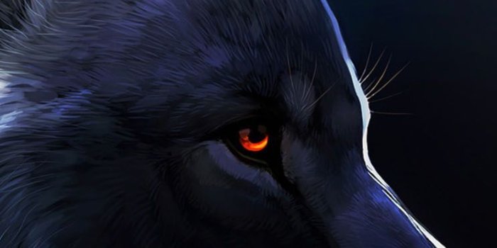 744x1392 Red Eyed Black Wolf | Anything ART | Wolf, Anime wolf, Wolf wallpaper