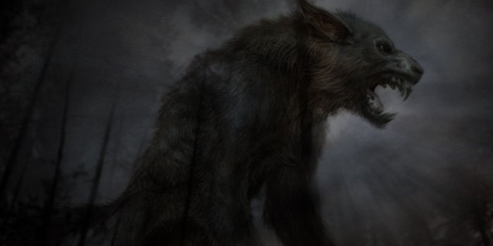 1920x1200 Wolf Wallpaper (46+ images) on Genchi.info