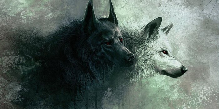 1920x1200 Black Wolf Wallpapers (70+ background pictures)