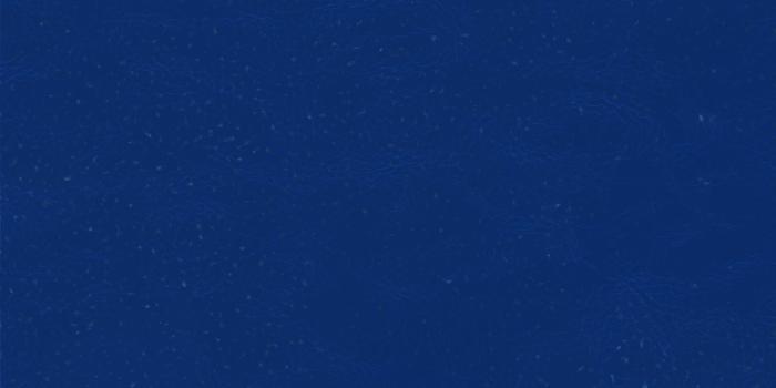 2560x1440 Blue color - Barbaras HD Wallpapers