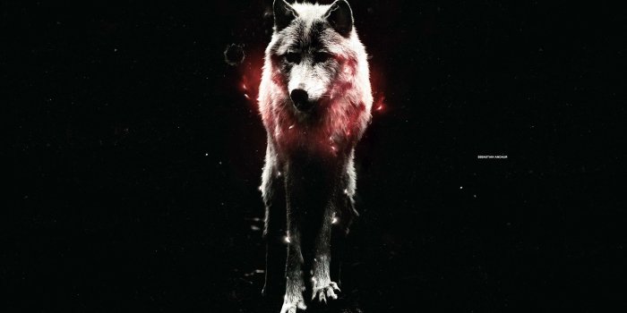 2560x1600 69+ Black Werewolf Wallpapers on WallpaperPlay