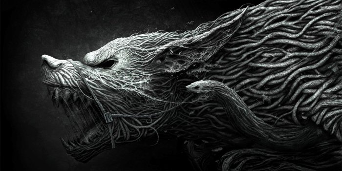 2560x1440 Badass Wolf Wallpaper (72+ images)