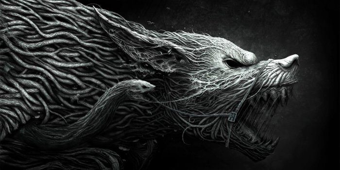 2560x1440 Black Wolf Wallpaper Hd (39+), Find HD Wallpapers For Free