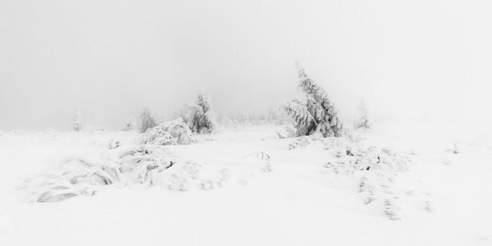 2560x1440 Winter Fog White Snow Trees Aesthetic ❤ 4K HD Desktop Wallpaper for