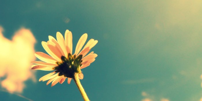 2560x1600 Summer tumblr Vibes Tumblr Tumblr Summer Vibes Tumblr