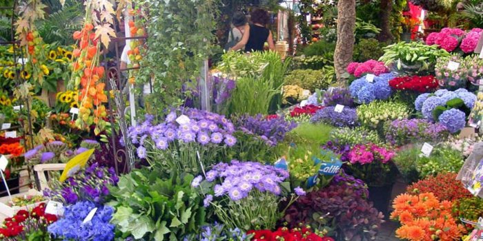 1920x1200 45+ Amsterdam Garden Wallpapers - Download at WallpaperBro