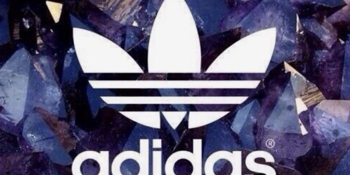 979x1498 Madison Mackenzie on Converse, Adidas, Vans, Nike in 2019