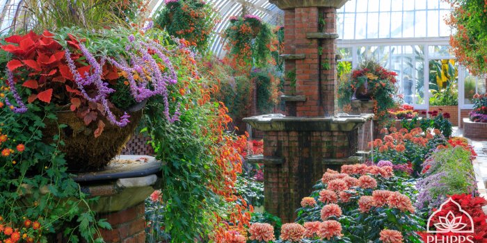 3840x2160 Desktop Wallpapers | Phipps Conservatory and Botanical Gardens