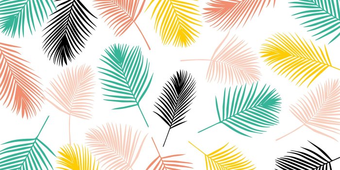 1899x1200 Palm Frond Desktop Wallpaper - Colourful Summer, Hd Wallpapers