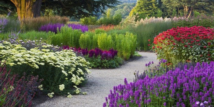 1920x1080 Wallpaper's Collection: «Flower Garden Wallpapers»