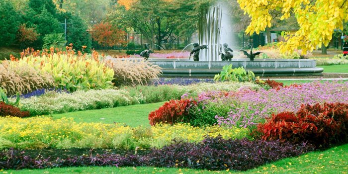 1920x1200 Garden Wallpapers HD