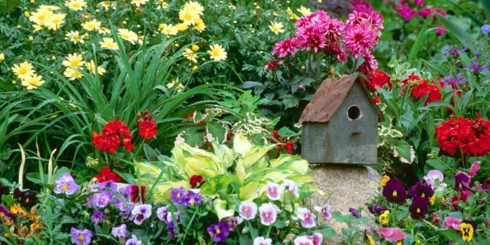 1920x1200 Flower Garden Wallpapers | Best Wallpapers