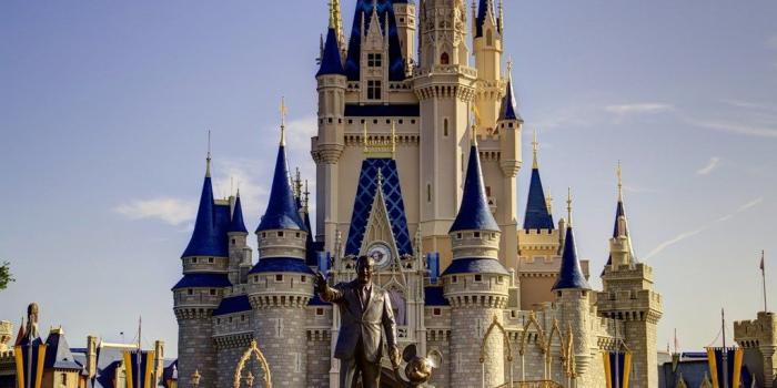 1024x1537 Daytime Cinderella Castle Wallpapers For Iphone Desktop Background