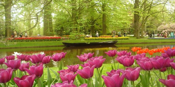 1920x1200 Flower Garden Wallpapers