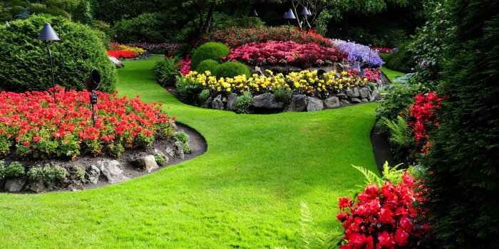 3764x2500 2860738 nature flowers garden landscape wallpaper and background