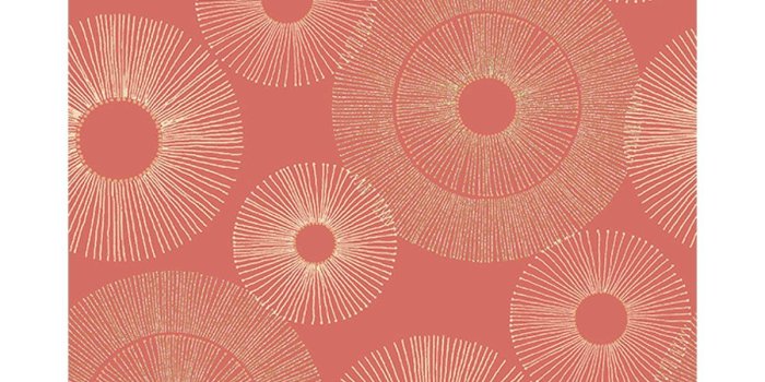 1200x1010 Wallpaper and Wall Decals |Barrydowne Paint