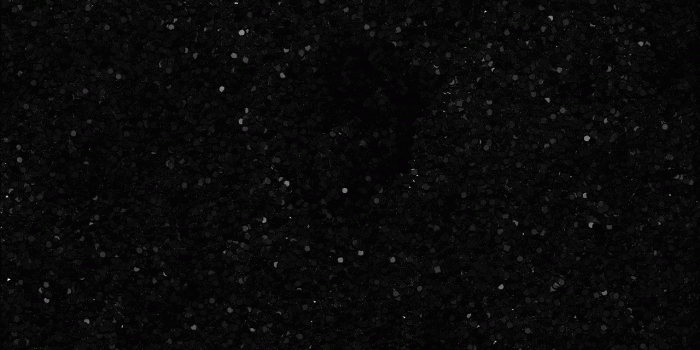 1280x770 Black glitter wallpaper - SF Wallpaper
