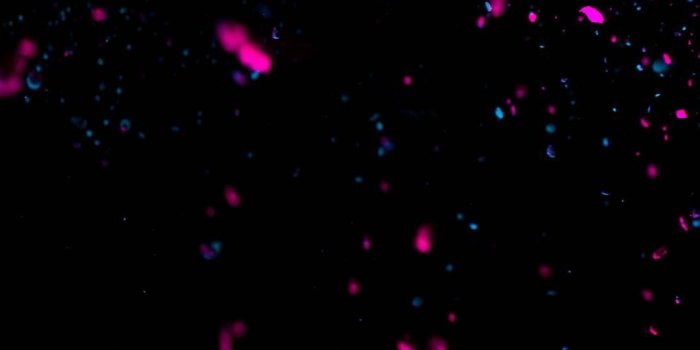 1080x2220 kim on A Lot of Pinks in 2019 | Black wallpaper iphone