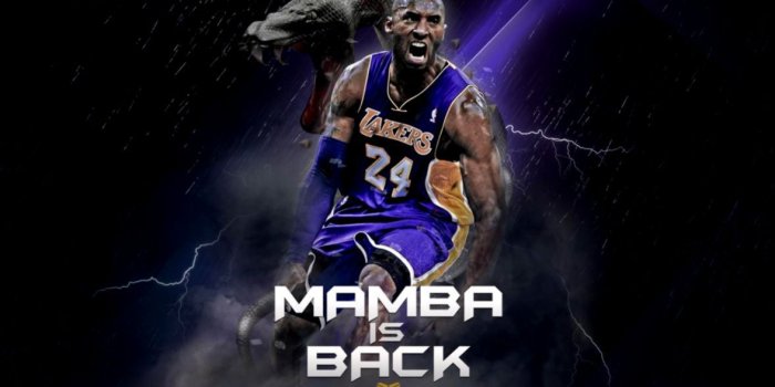 1177x720 Kobe Bryant Wallpaper Hd - Kobe Wallpaper Black Mamba (#112318) - HD