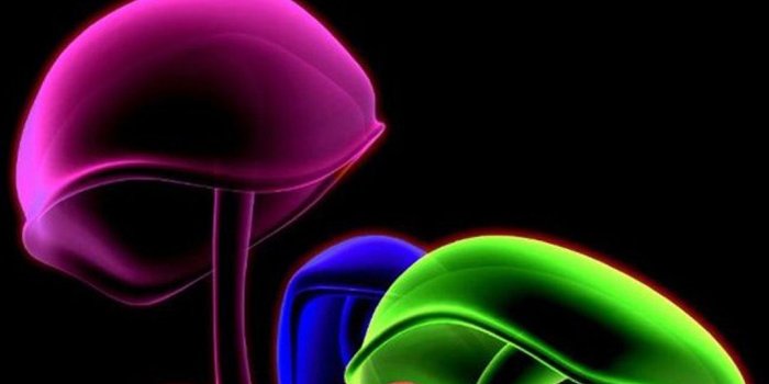 1080x1920 Brilliant 1000 Cool Wallpapers For Mobile In Samsung Android With