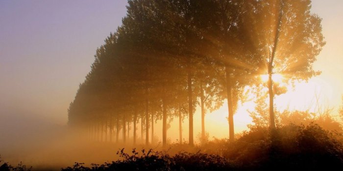 1024x768 Good Morning Wallpaper #37