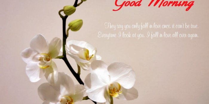 1024x768 Live Good Morning Wallpapers – Good Morning Wallpapers Collection