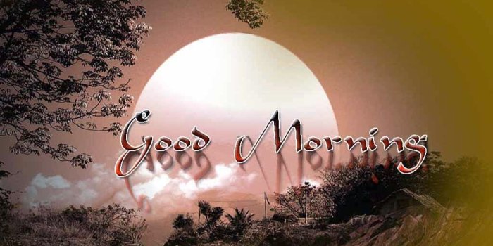 1024x768 Free Hd Wallpapers Of - New Good Morning Photos Hd (#107086) - HD