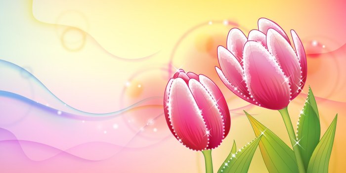 1920x1200 Beautiful Abstract Flowers Design Wallpapers HD Widescreen Desktop