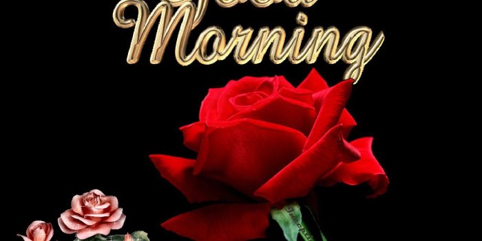 1280x1024 47+] Good Morning Wallpapers Pictures on WallpaperSafari