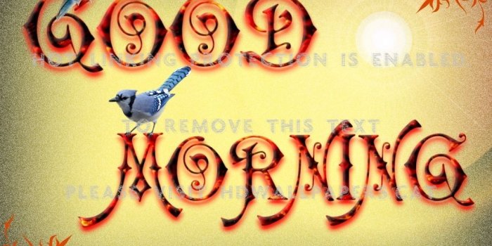 1024x768 good morning comment creation abstract 3d