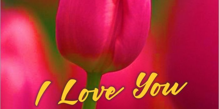 882x1334 35 Free Images of Good Morning to Wishes - ΑΡΡℓΕ GЯΑΡНΙCS