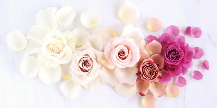 5184x3456 Rose Gold Desktop Wallpaper (106+ images in Collection) Page 1