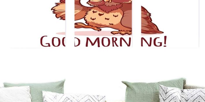 1000x1000 Amazon.com: Canvas Wall Art Funny Woken Owl in The Nightcap with A