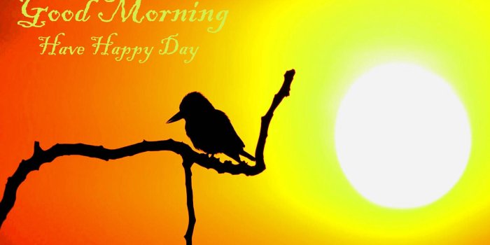 1920x1200 Good Morning wallpapers, Pictures, Images