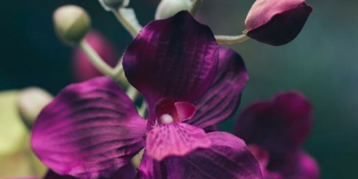 735x1102 HD Good Morning Picture, Download picture of a nice hd good morning