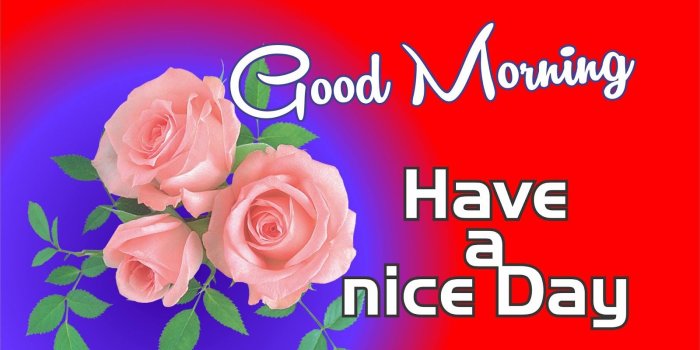 1600x1170 Good Morning All Wish Image 2018 - ΑΡΡℓΕ GЯΑΡНΙCS