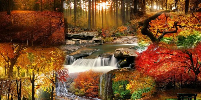 1920x1080 Beautiful Fall Pictures Wallpaper (60+ images)