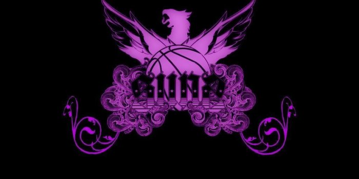 1024x768 phoenix suns logo | Phoenix Suns Wallpaper & Phoenix Suns Background
