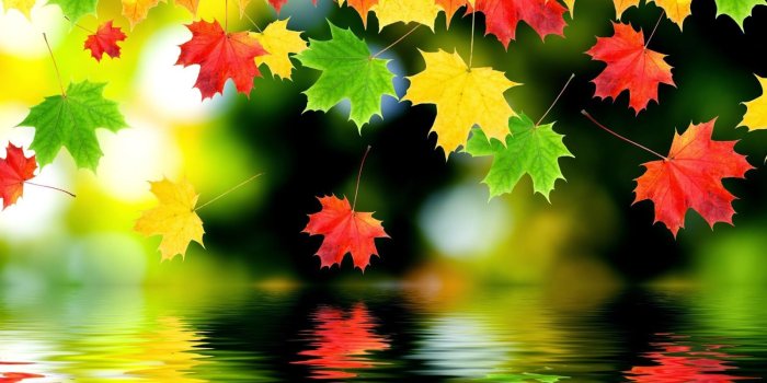 1600x1200 Beautiful Fall Desktop Wallpaper | download the beautiful autumn
