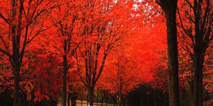 1024x768 Beautiful Fall Pictures Wallpapers